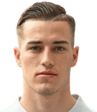 Luka Sucic